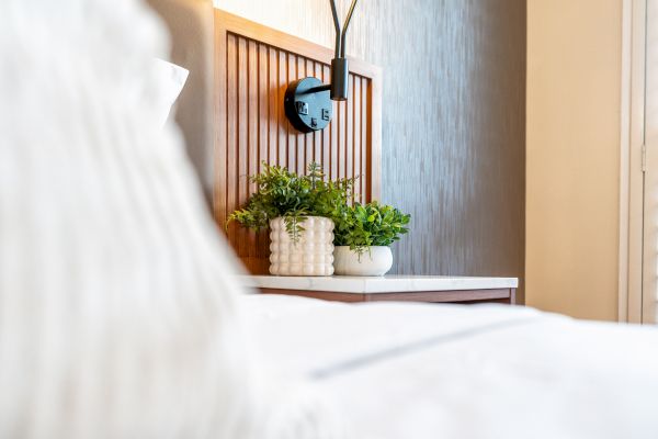 A close-up of a bed with white sheets, a wooden headboard, and two potted plants on a nightstand under a wall-mounted lamp.