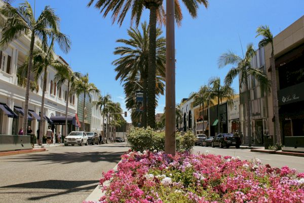 A sunny street with palm trees, colorful flowers in a planter, and a mix of classic and modern buildings, featuring parked cars.