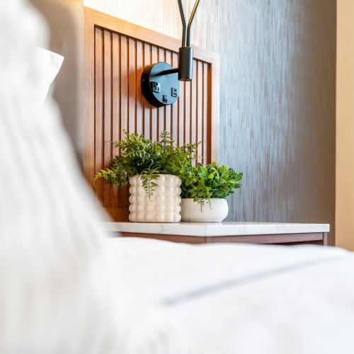 A cozy bedroom scene featuring a wooden headboard, potted green plants on a nightstand, a wall-mounted modern light fixture, and a white bedspread.